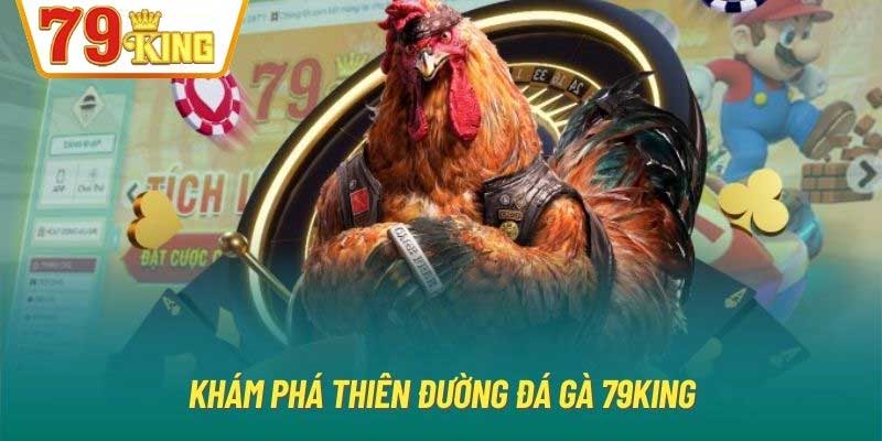 Khám phá thiên đường đá gà 79King